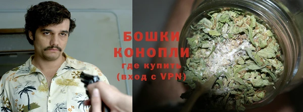 spice Тайга