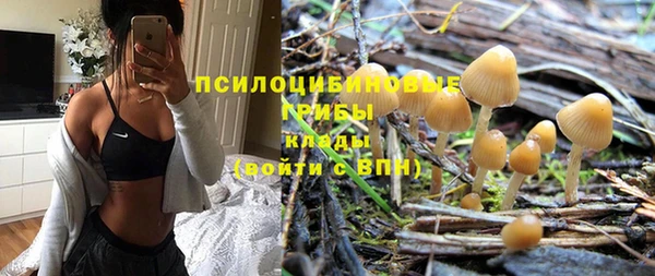 соль ск Сясьстрой